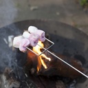 Marshmallows roosteren